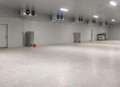 想要建一个冷库,如何选择冷库工程公司